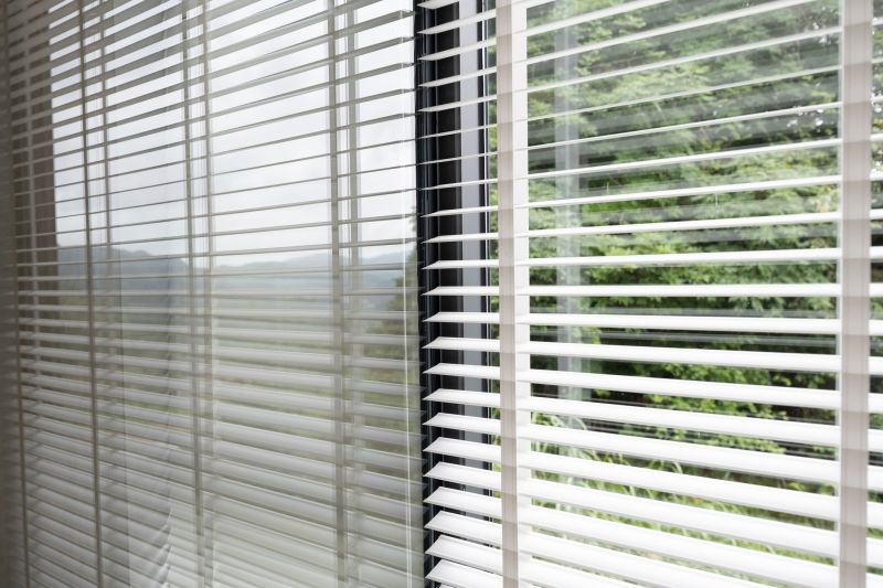 Blinds Replacement Service detail