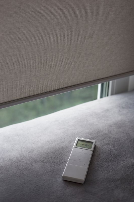 Remote Control Blinds Service detail