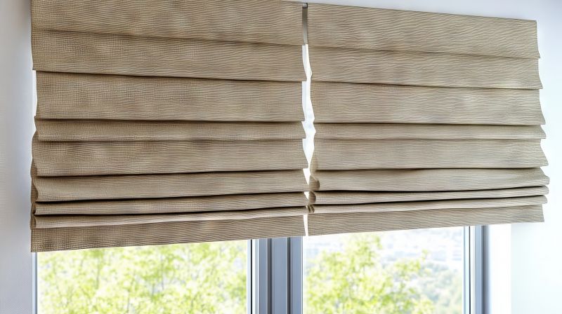 Roman Shade Cleaning detail