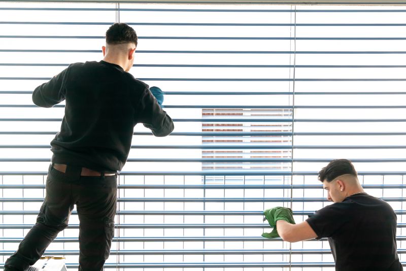 Vertical Blind Cleaning detail