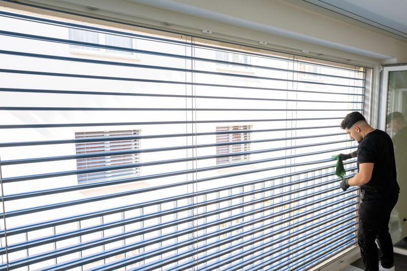 Vertical Blind Cleaning detail