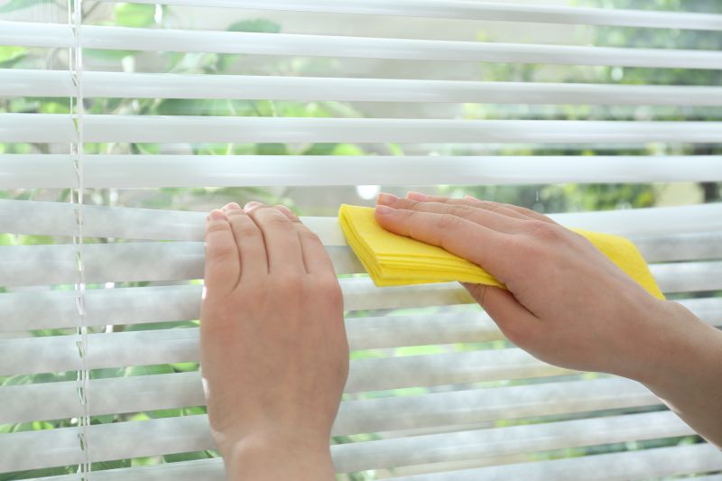 Window Blinds Cleaning detail