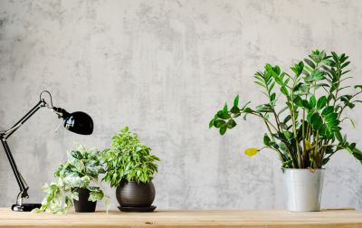 Wallpaper Border Installation in Kansas City, KS