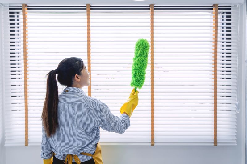 Window Blinds Cleaning